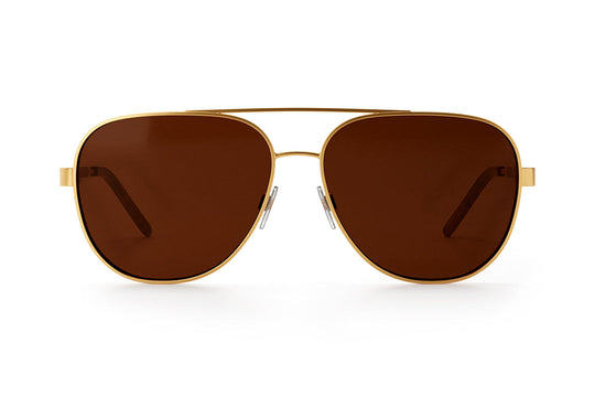 Incline Sunglasses: Tortoise Brown Lens